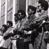 blackpantherparty