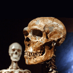 The Real Neanderthal Man