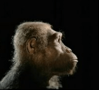 The Ape That Took Over The World