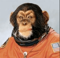 Spacechimp