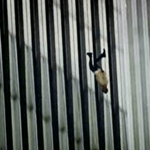 9/11: The Falling Man