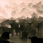 Nature’s Great Events