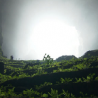 largestcave