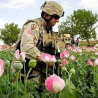 afghan wars the lost war