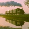 train