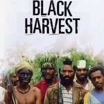 Black Harvest