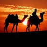 desert odyssey
