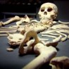 bones